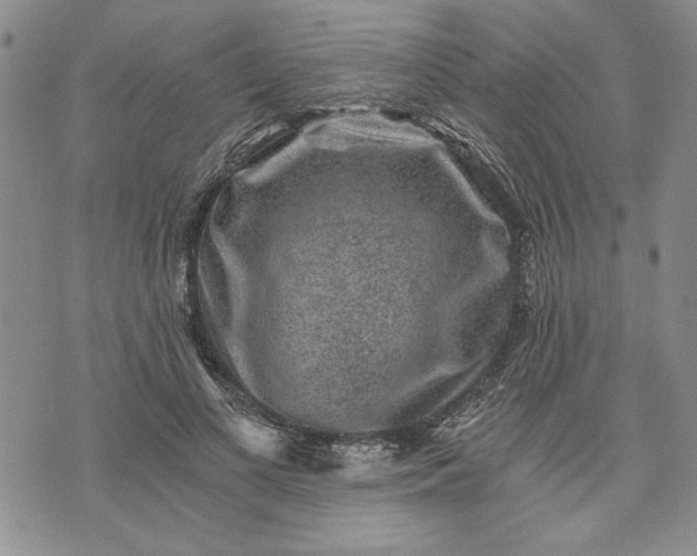 X0000072960693200608041153