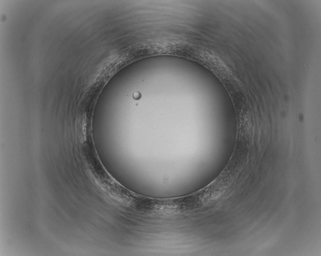 X0000072960694200608041153