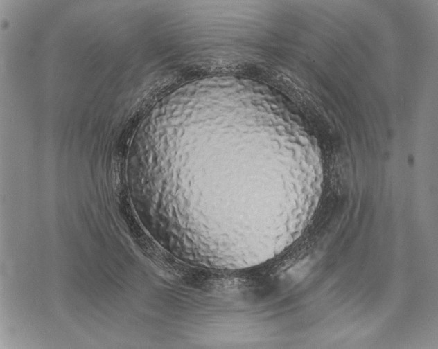 X0000072960695200608041153