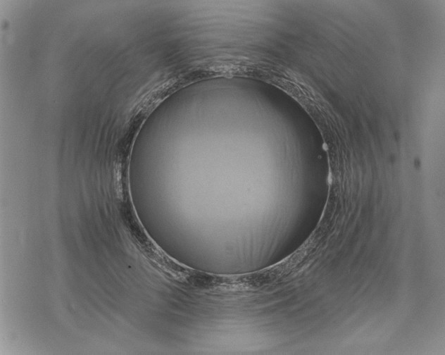 X0000072960696200608041153