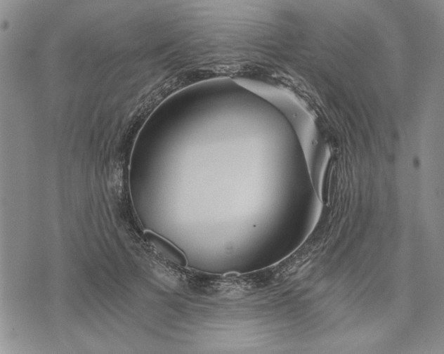 X0000072960697200608041153