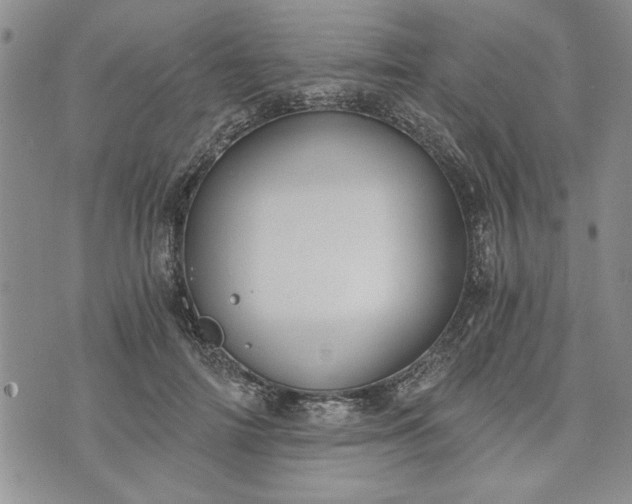 X0000072960698200608041153