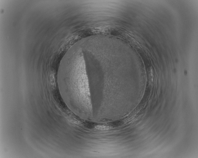 X0000072960699200608041153