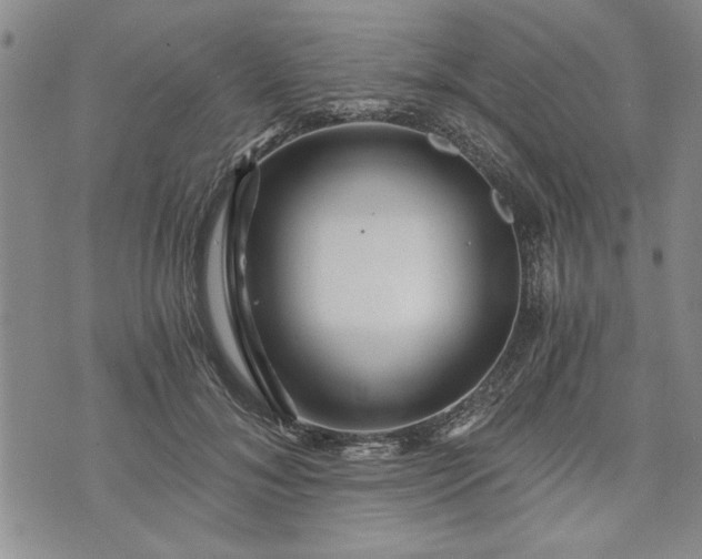 X0000072960700200608041153