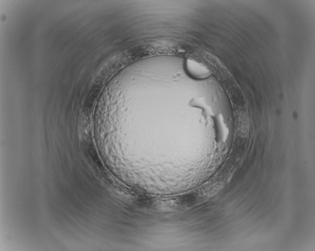 X0000072960701200608041153