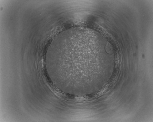 X0000072960703200608041153