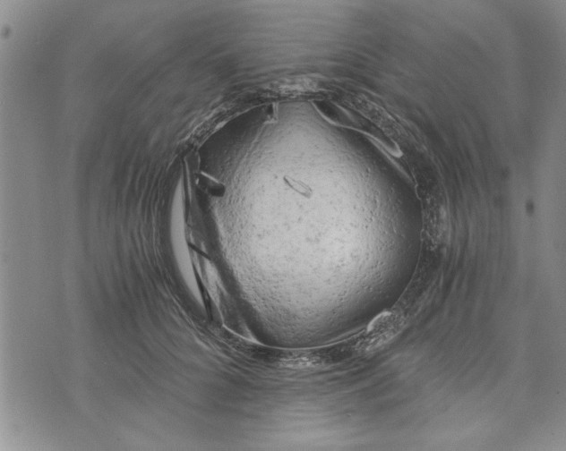 X0000072960704200608041153