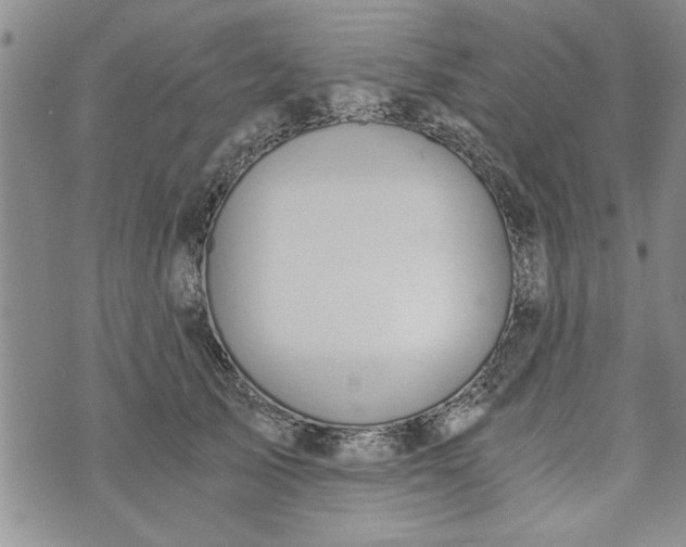 X0000072960705200608041153