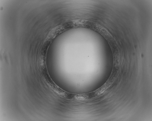 X0000072960706200608041153