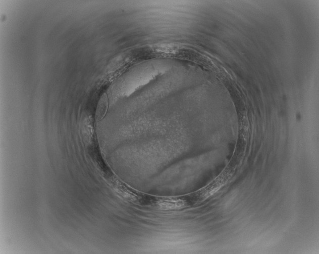 X0000072960707200608041153