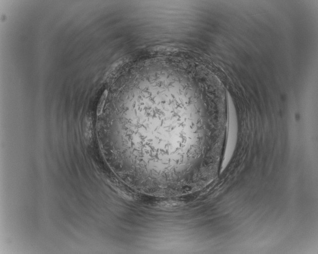 X0000072960708200608041153