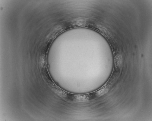 X0000072960709200608041153