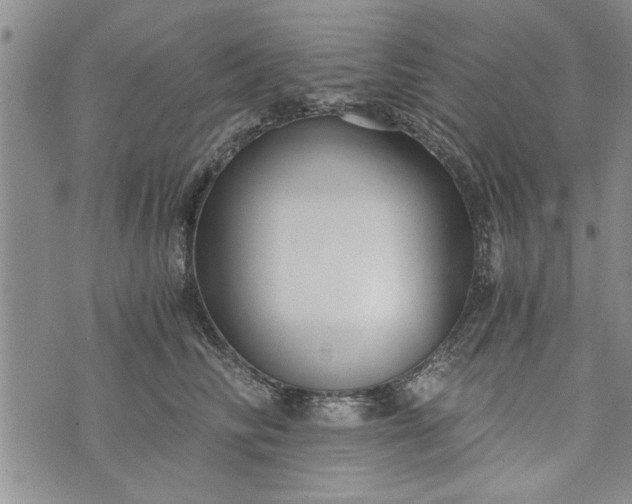 X0000072960710200608041153