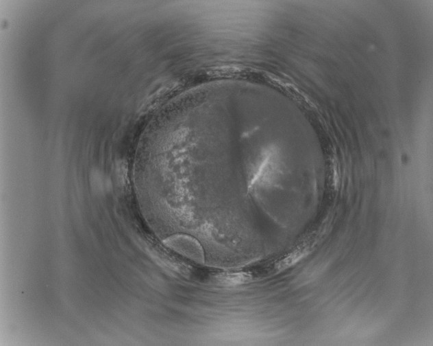 X0000072960711200608041153