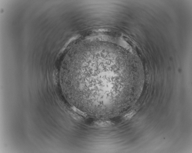 X0000072960712200608041153