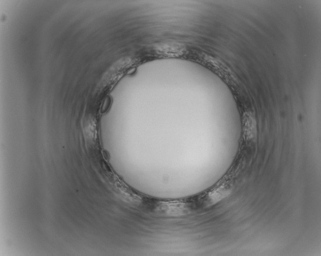 X0000072960713200608041153