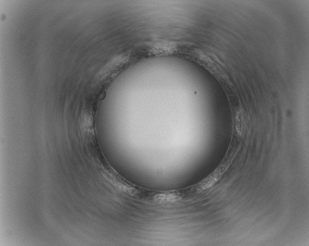 X0000072960714200608041153