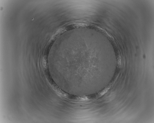 X0000072960715200608041153