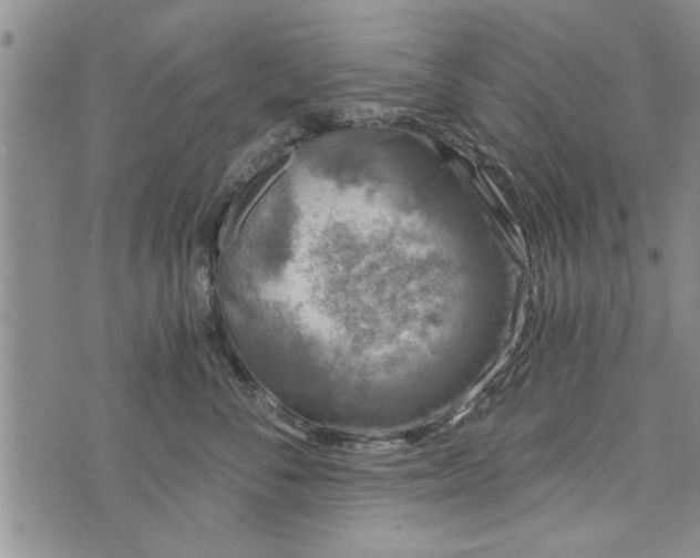 X0000072960716200608041153