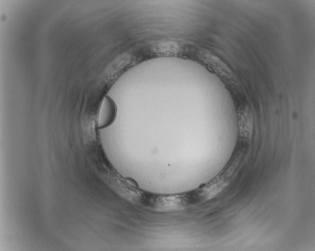 X0000072960717200608041153