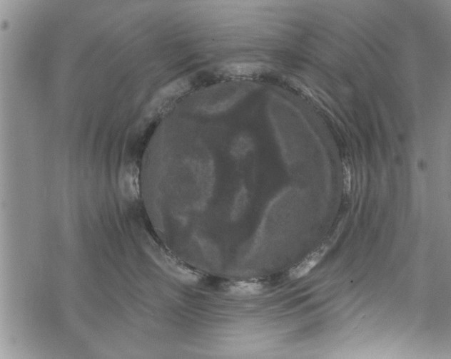 X0000072960718200608041153