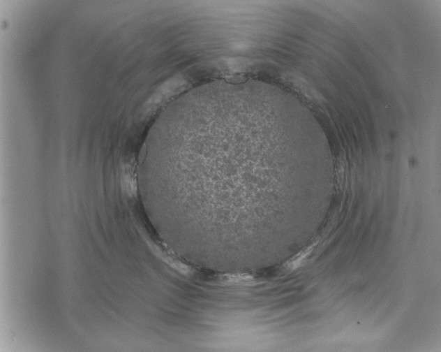 X0000072960719200608041153