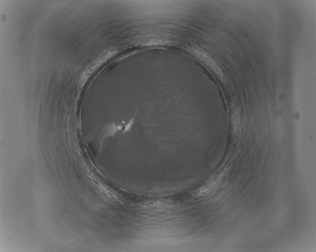 X0000072960721200608041152