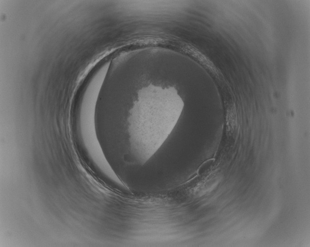 X0000072960722200608041152