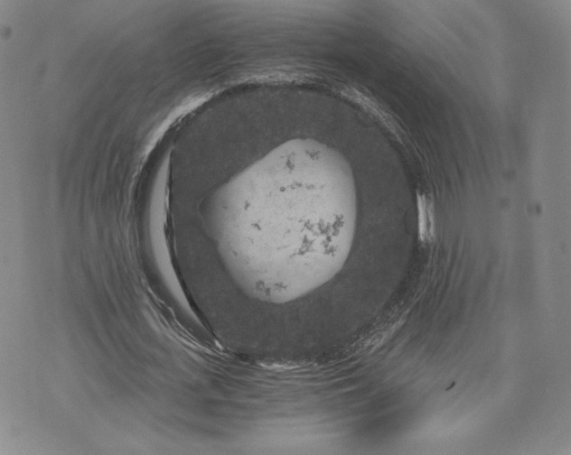 X0000072960723200608041152