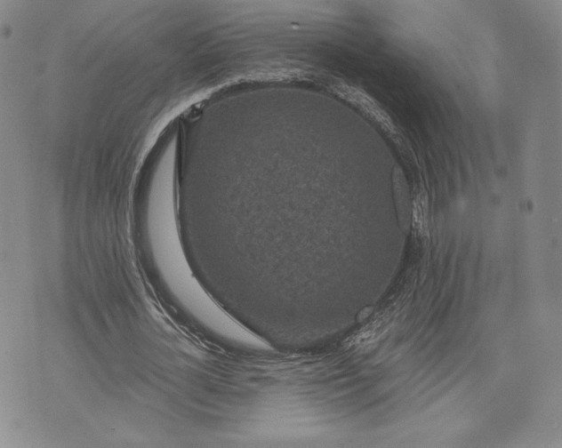 X0000072960724200608041152