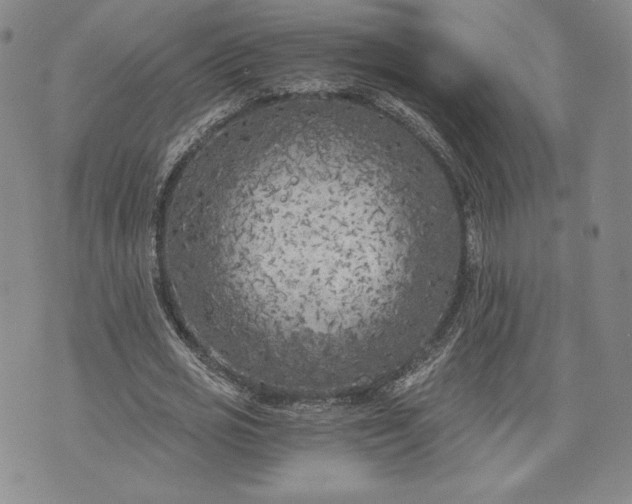 X0000072960725200608041152