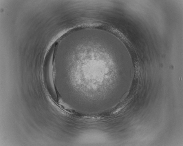 X0000072960726200608041152