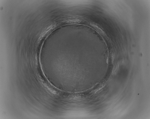 X0000072960729200608041152