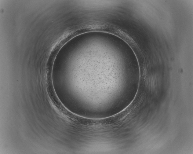 X0000072960730200608041152