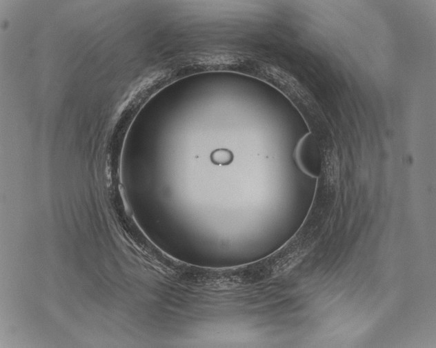 X0000072960731200608041152