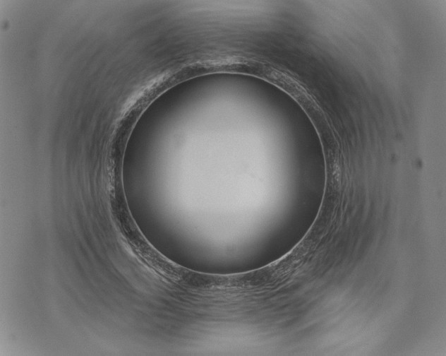 X0000072960732200608041152