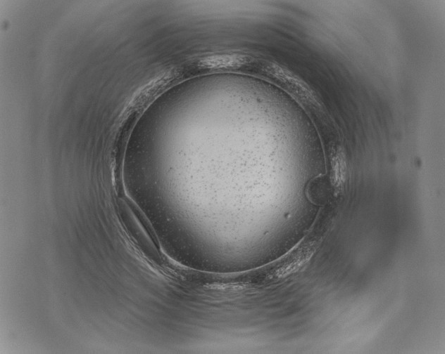 X0000072960733200608041152