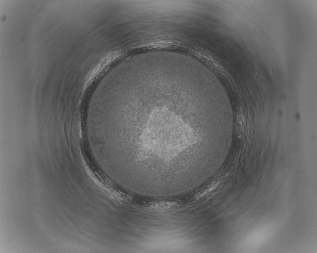 X0000072960734200608041152