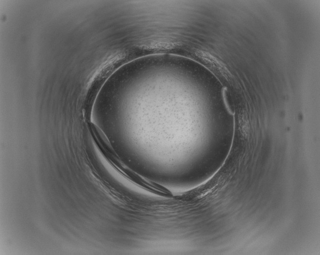 X0000072960735200608041152