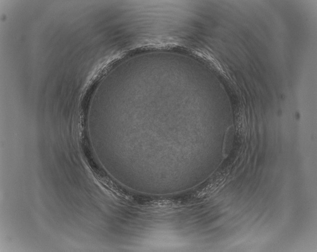 X0000072960736200608041152