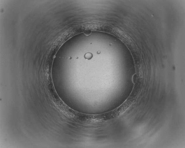 X0000072960737200608041152