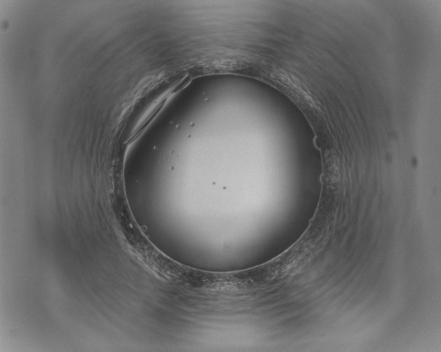 X0000072960738200608041152