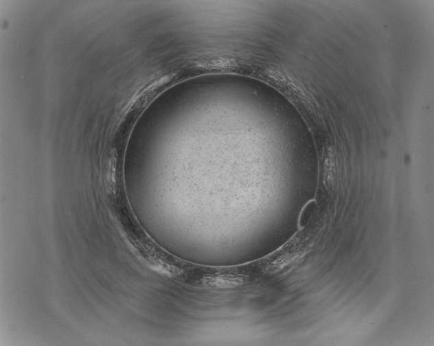 X0000072960739200608041152