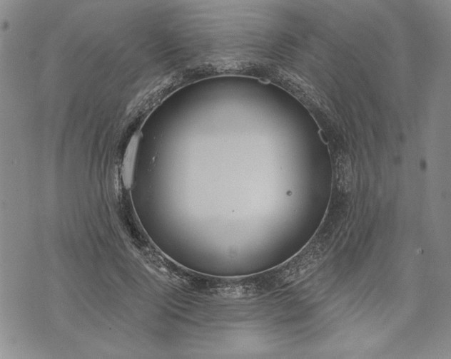 X0000072960740200608041152