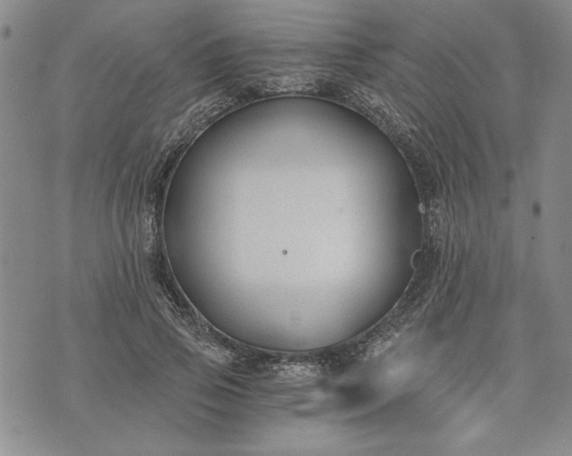 X0000072960741200608041152