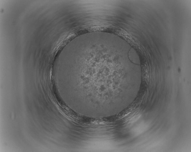 X0000072960742200608041152