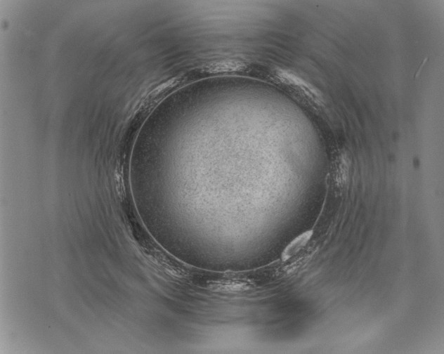 X0000072960743200608041152