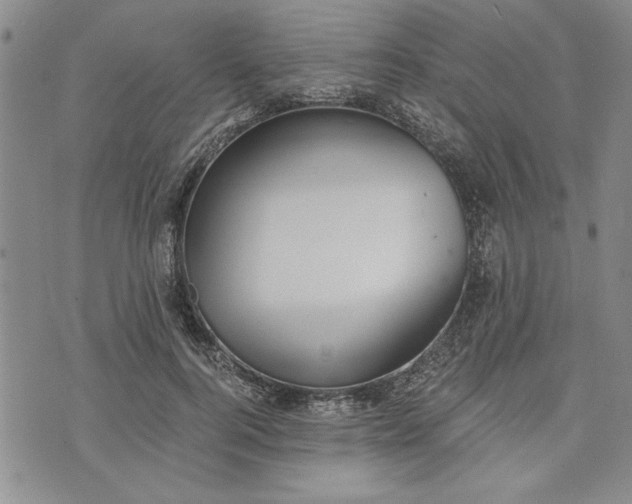 X0000072960744200608041152