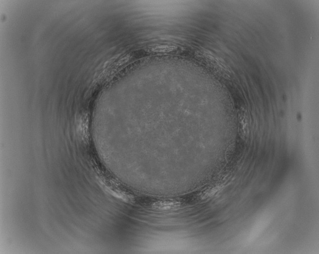 X0000072960745200608041152