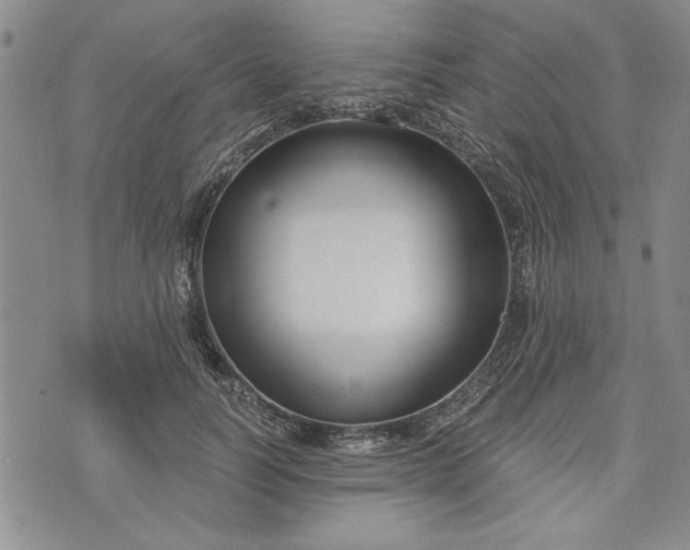 X0000072960746200608041152